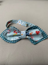 Lade das Bild in den Galerie-Viewer, Miezpropeller