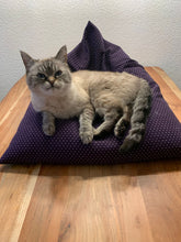 Lade das Bild in den Galerie-Viewer, Sitzsack für die Katze