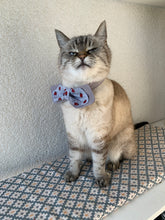 Lade das Bild in den Galerie-Viewer, Miezpropeller