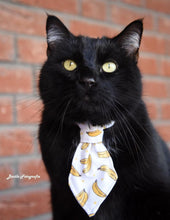 Lade das Bild in den Galerie-Viewer, Krawatte