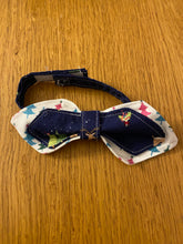 Lade das Bild in den Galerie-Viewer, Miezpropeller
