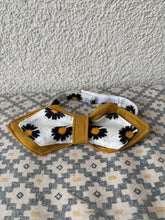 Lade das Bild in den Galerie-Viewer, Miezpropeller
